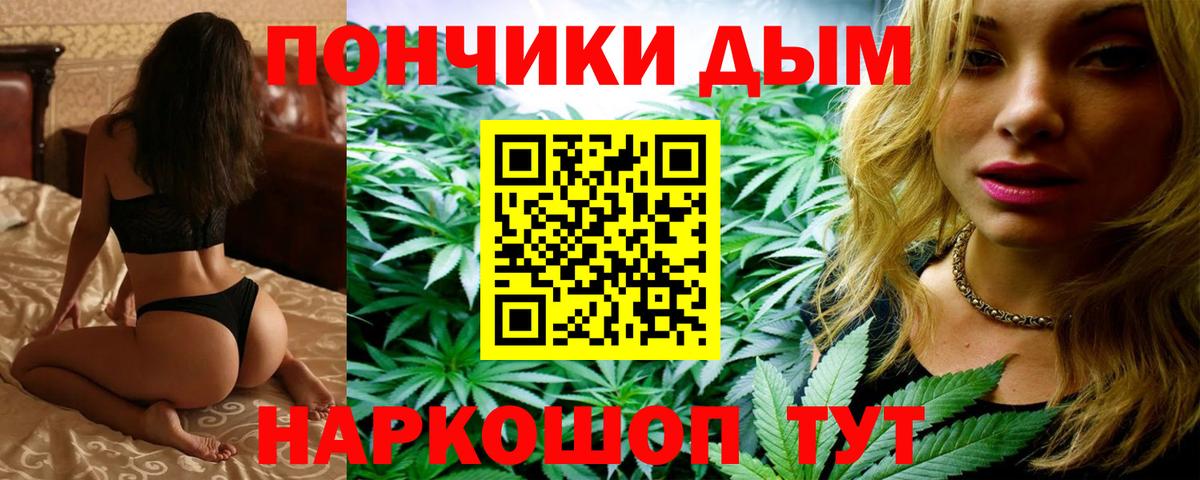Шишки марихуана планчик Ярцево